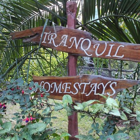 Tranquil Homestays Naro Moru 외부 사진