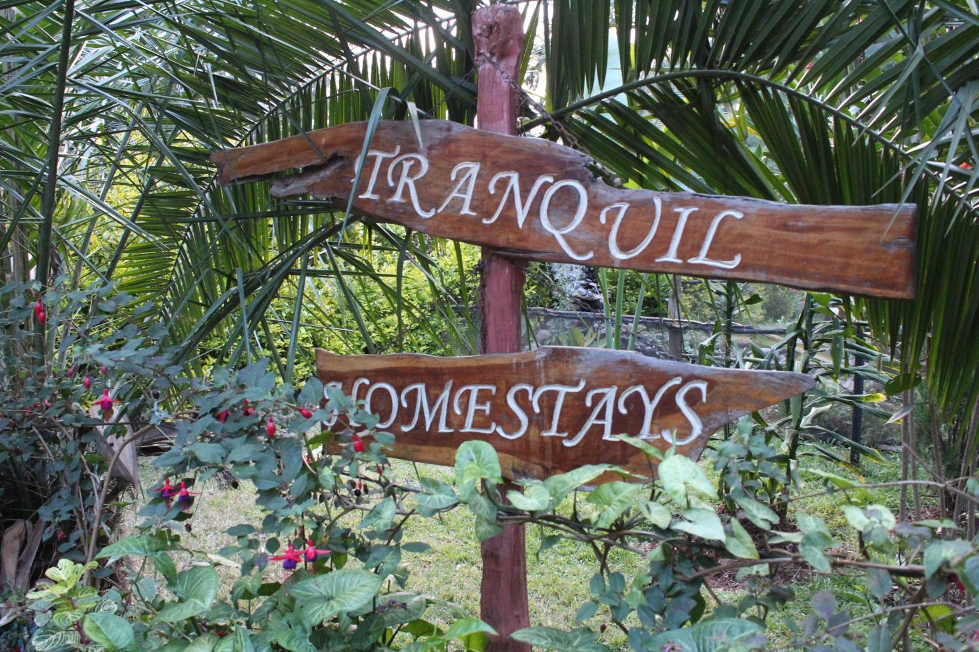 Tranquil Homestays Naro Moru 외부 사진